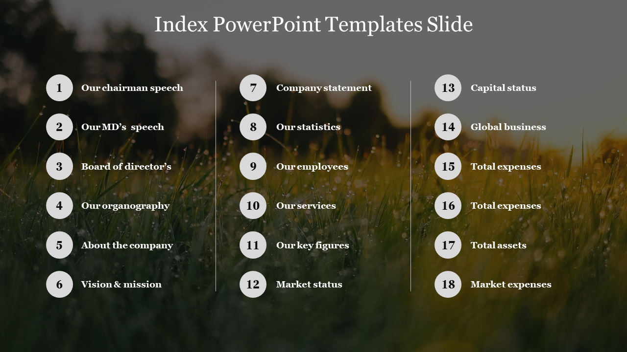 Index PowerPoint Templates Slide